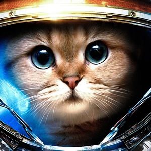 Meet your Posher, Gabriel